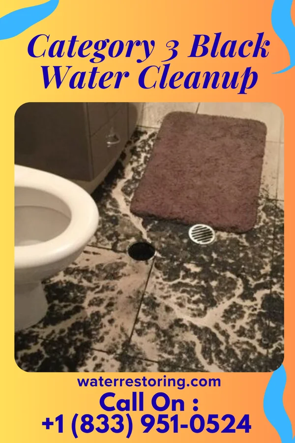 Category 3 Black Water Cleanup in Lake Angelus, MI