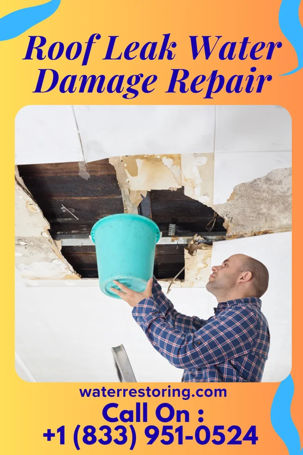 Roof Leak Water Damage Repair in Lake Angelus, MI